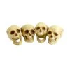 Fun Place Skull Heads