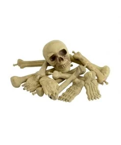 Fun Place Accessories Bag Of Bones & Skull