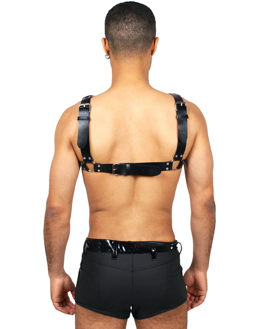 Fun Place XXX Adustable Harness Festivals 4 Fun Place XXX Adustable Harness Festivals