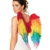 Fun Place Rainbow Foldable Angel Wings (50 X 50 Cm) Festivals 1 Fun Place Rainbow Foldable Angel Wings (50 X 50 Cm) Festivals