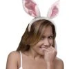 Fun Place Bunny Ears 1 Fun Place Bunny Ears