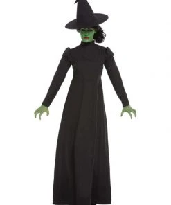 Fun Place Wicked Witch Costume