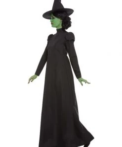 Fun Place Wicked Witch Costume 8 Fun Place Wicked Witch Costume