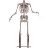Fun Place Skeleton Animated Figure (2.4m Tall) Gifts, Jokes & Party Wear