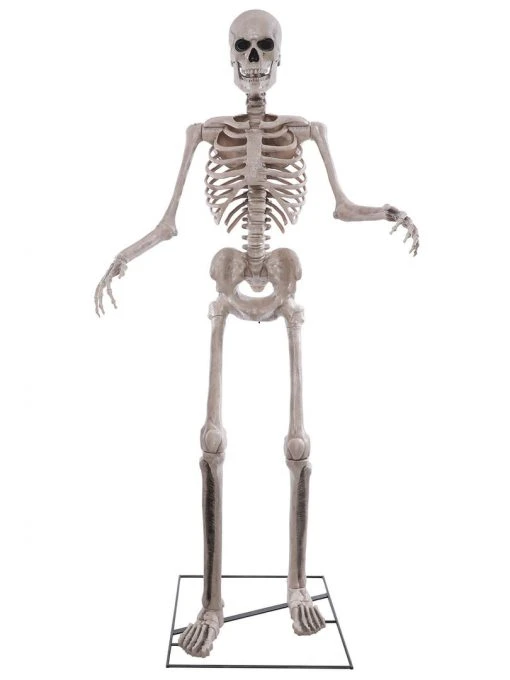 Fun Place Skeleton Animated Figure (2.4m Tall) Gifts, Jokes & Party Wear