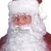 Fun Place Beards & Facial Hair Santa Beard And Wig