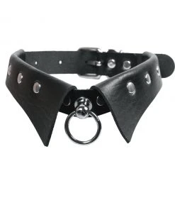 Fun Place Hidden Ring Collar Accessories