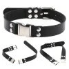 Fun Place Accessories New Buckle Collar