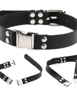 Fun Place Accessories New Buckle Collar