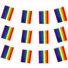 Fun Place Rainbow Paper Bunting